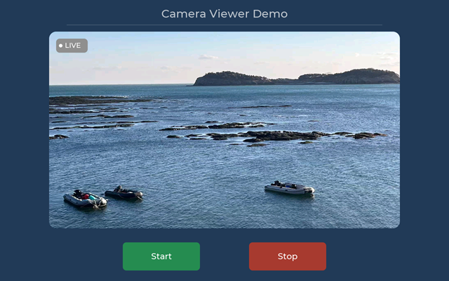 Camera Viewer Linux demo
