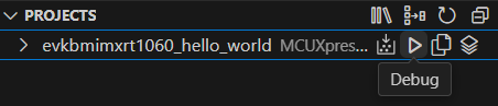 DebugPlayIcon