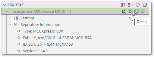 Debug project