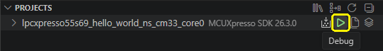 TrustZone Debug